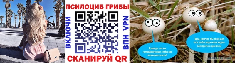 гидра рабочий сайт  Тутаев  Псилоцибиновые грибы MAGIC MUSHROOMS 